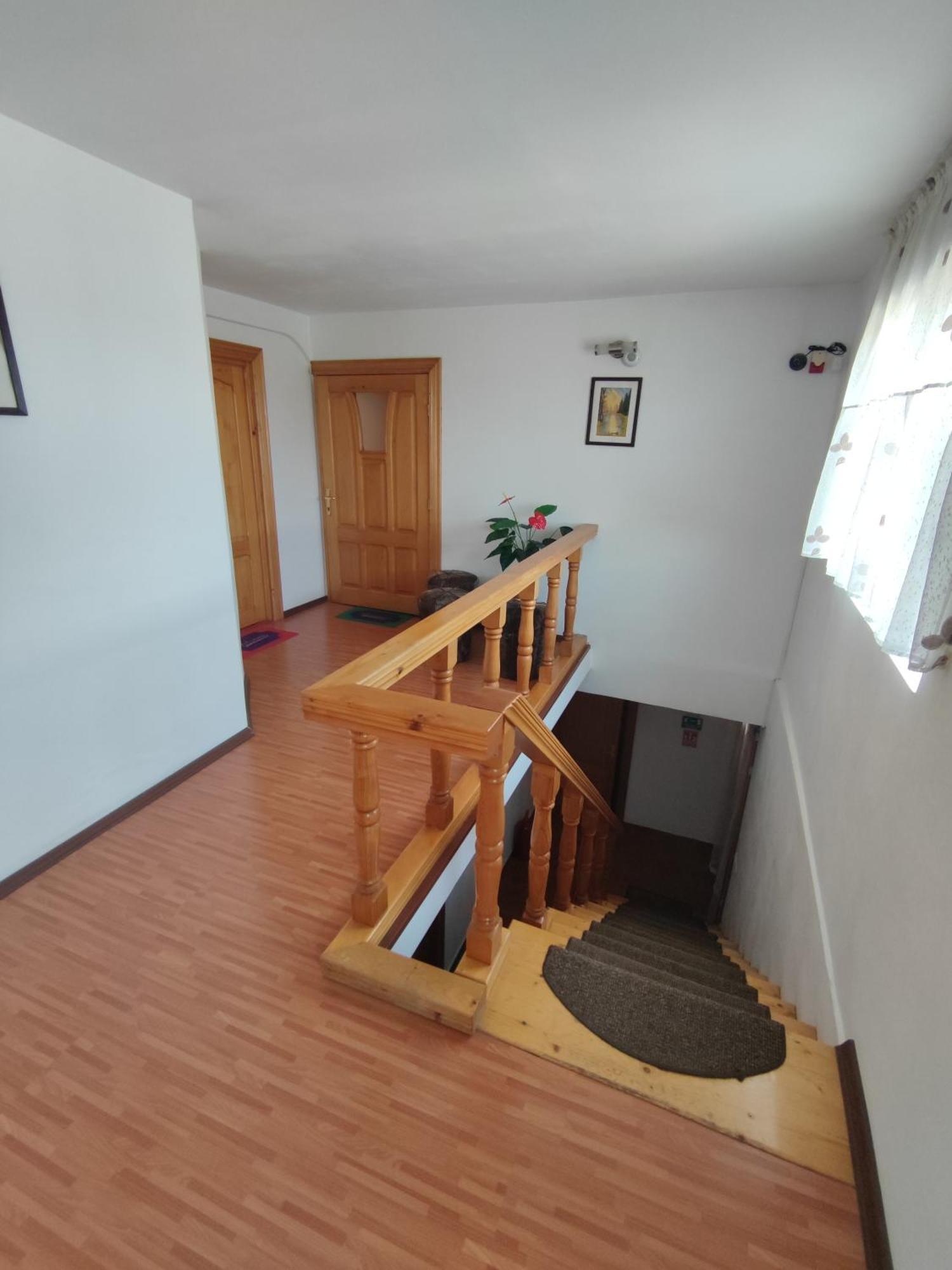 Camere de inchiriat EDELWEISS Dumbrava Roşie Exterior foto